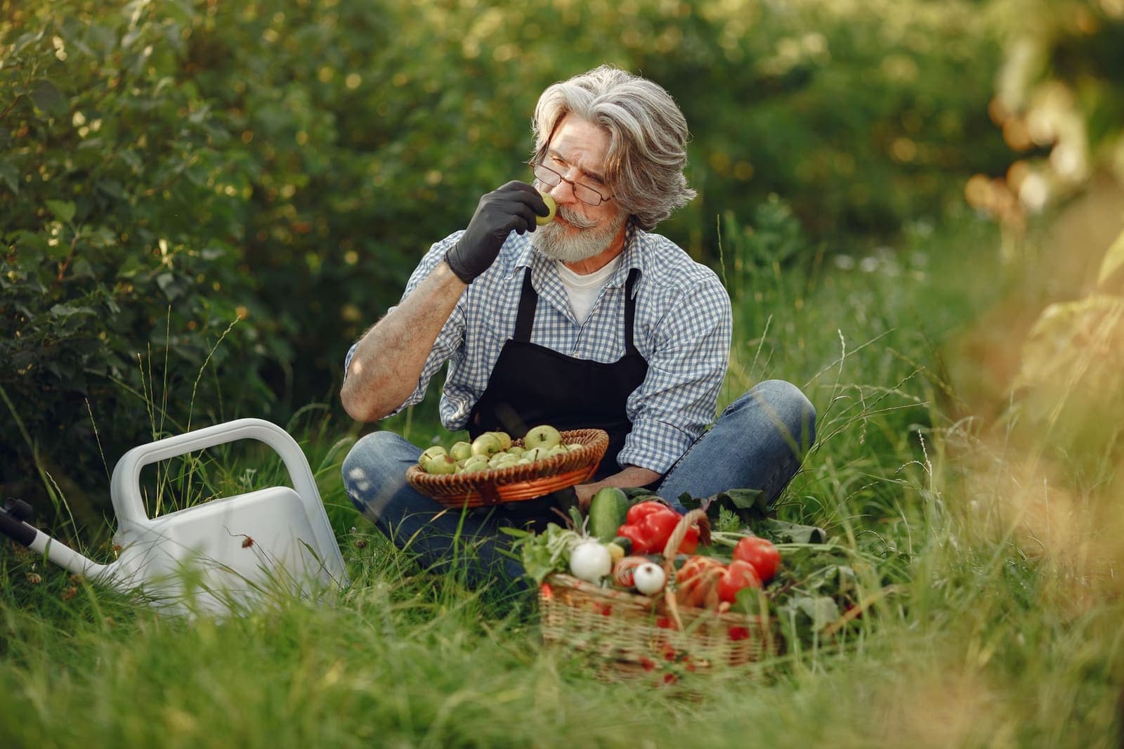 Moestuin met groenteperken